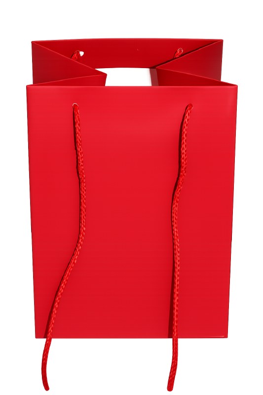 Picture of Florist bag x 10 Red